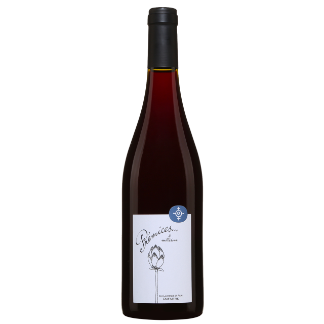 Laurence Et R&eacute;mi Dufaitre Pr&eacute;mices Beaujolais-Village Red Wine