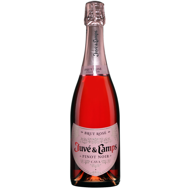 Juv&eacute; y Camps Brut Ros&eacute; Cava
