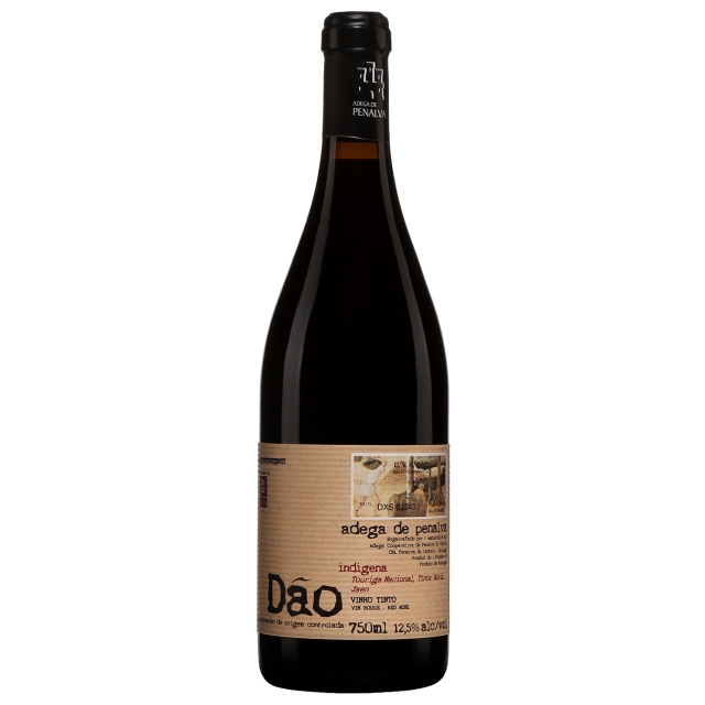 Adega de Penalva D&atilde;o Red Wine