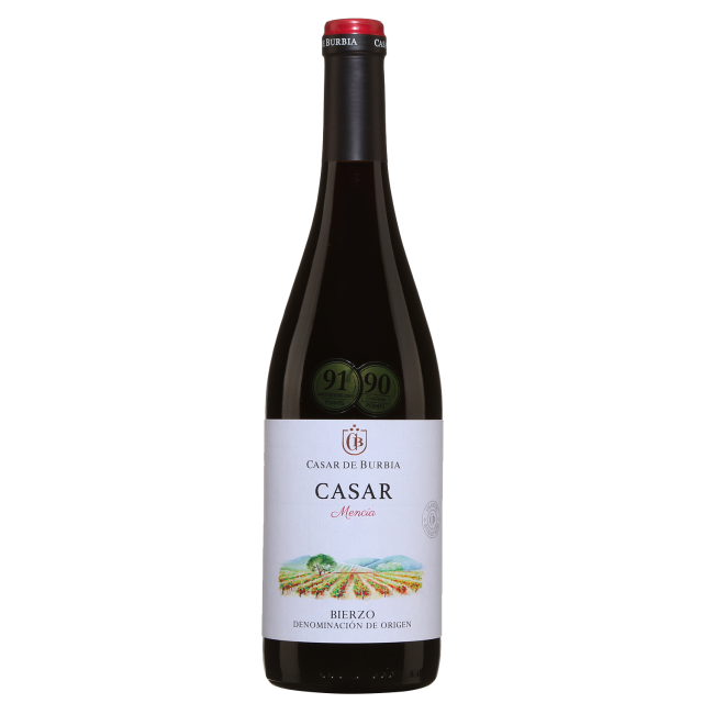 Casar de Burbia Mencia Red Wine