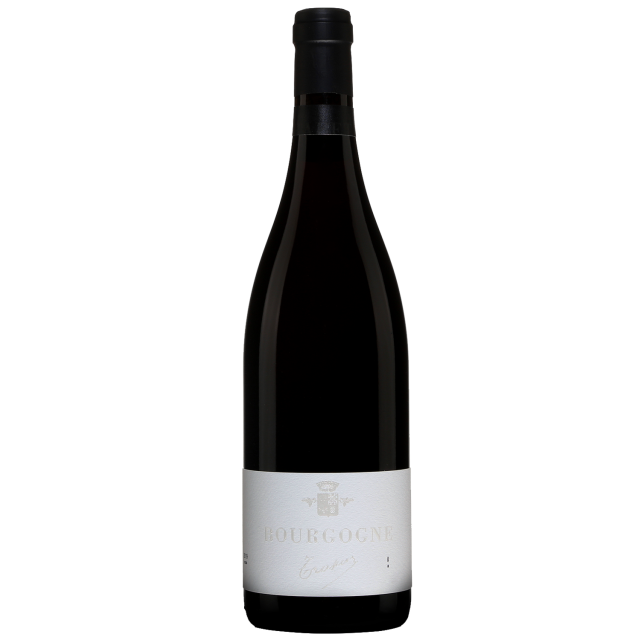 Domaine Trapet P&egrave;re & Fils Bourgogne Red Wine