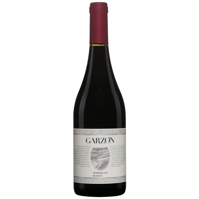 Bodega Garz&oacute;n Marselan Reserva Red Wine
