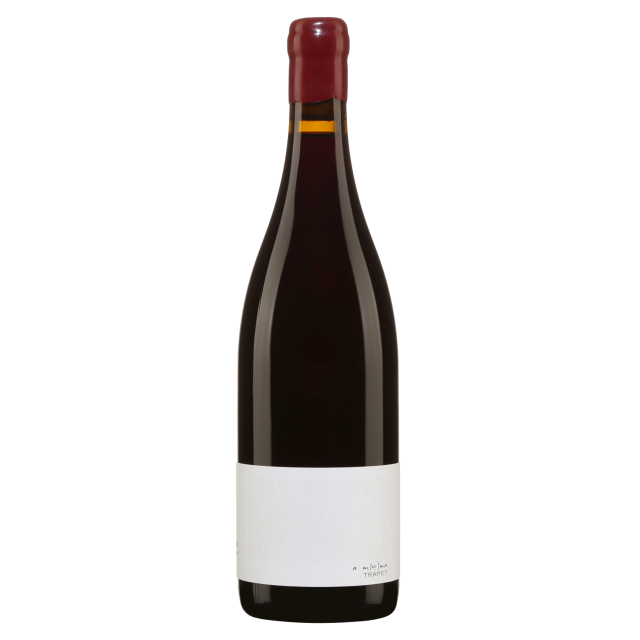 Domaine Trapet P&egrave;re et Fils Bourgogne Passe-tout-grains Red Wine