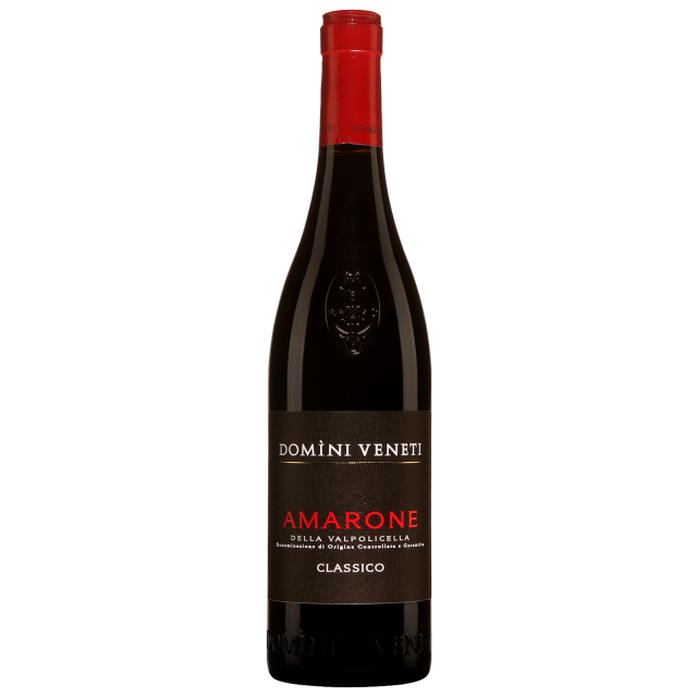 Domini Veneti Amarone Classico Red Wine
