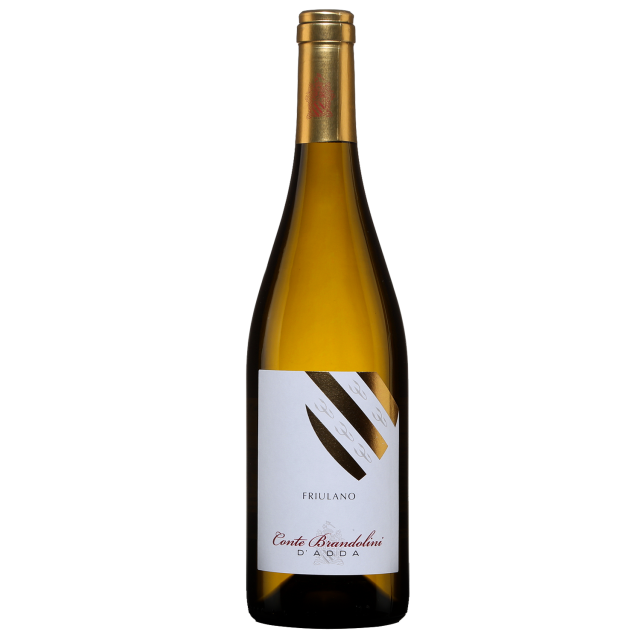 Friulano Vistorta Brandino White Wine