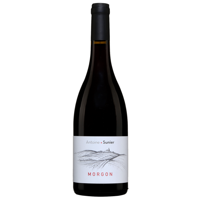 Antoine Sunier Morgon Red Wine