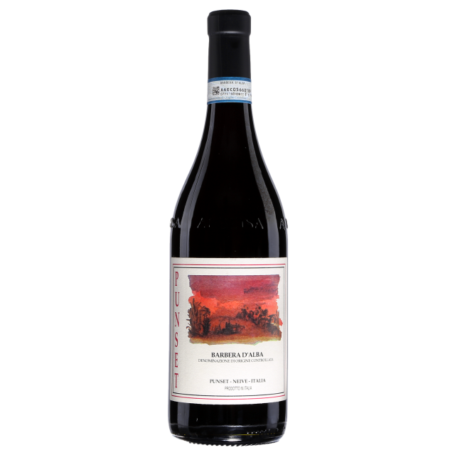 Punset Barbera dAlba Red Wine