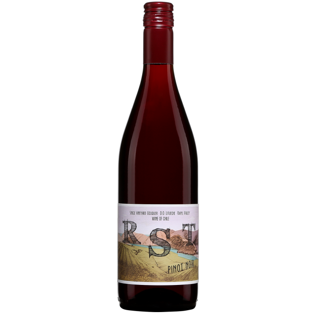 Vi&ntilde;a Echeverr&iacute;a Pinot Noir Red Wine