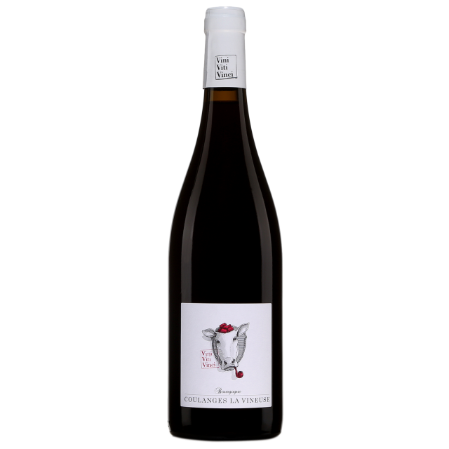 Vini Viti Vinci Bourgogne Coulanges-la-Vineuse Red Wine