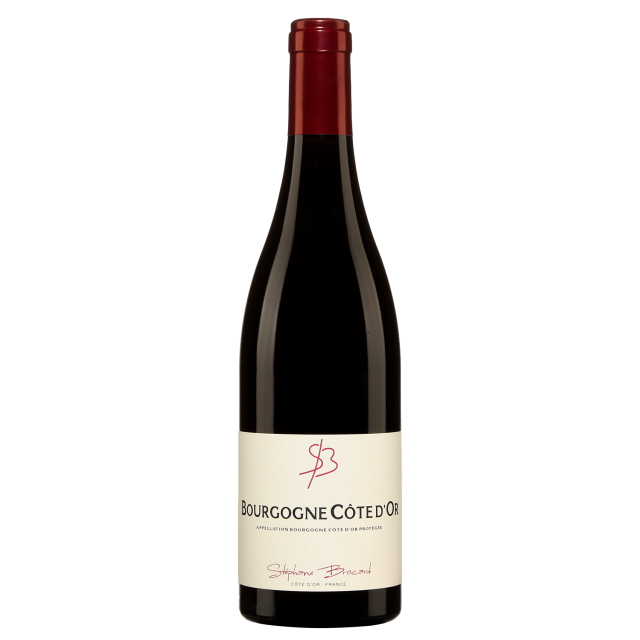 St&eacute;phane Brocard Bourgogne C&ocirc;te dOr Red Wine