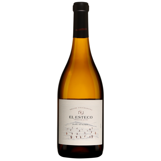 El Esteco Blanc de Blancs White Wine