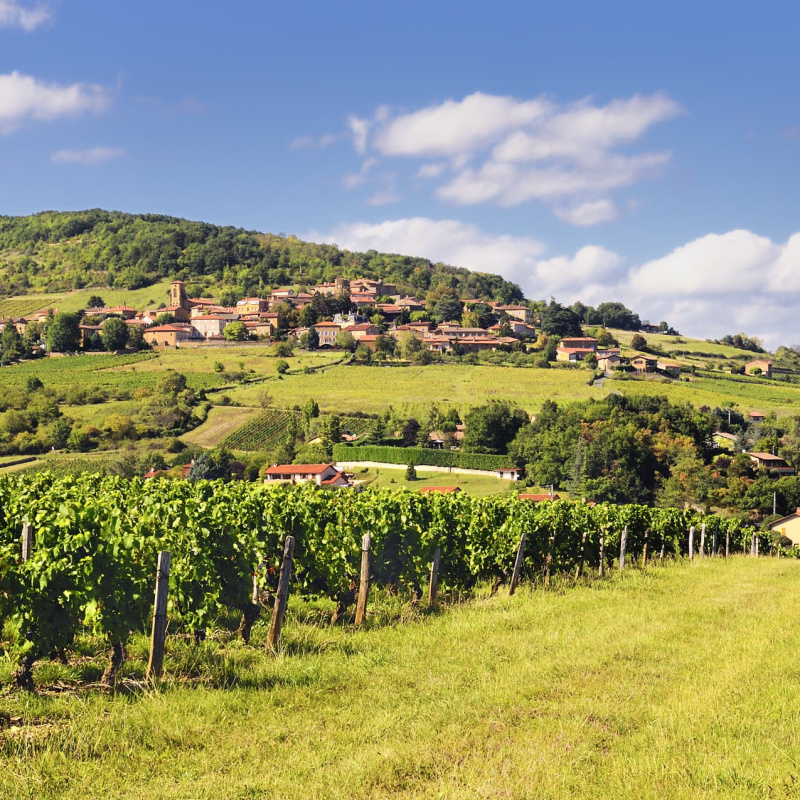 Beaujolais