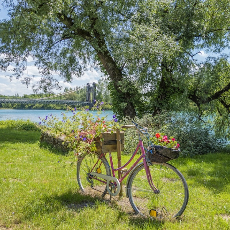 Rh&ocirc;ne