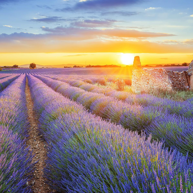 Provence