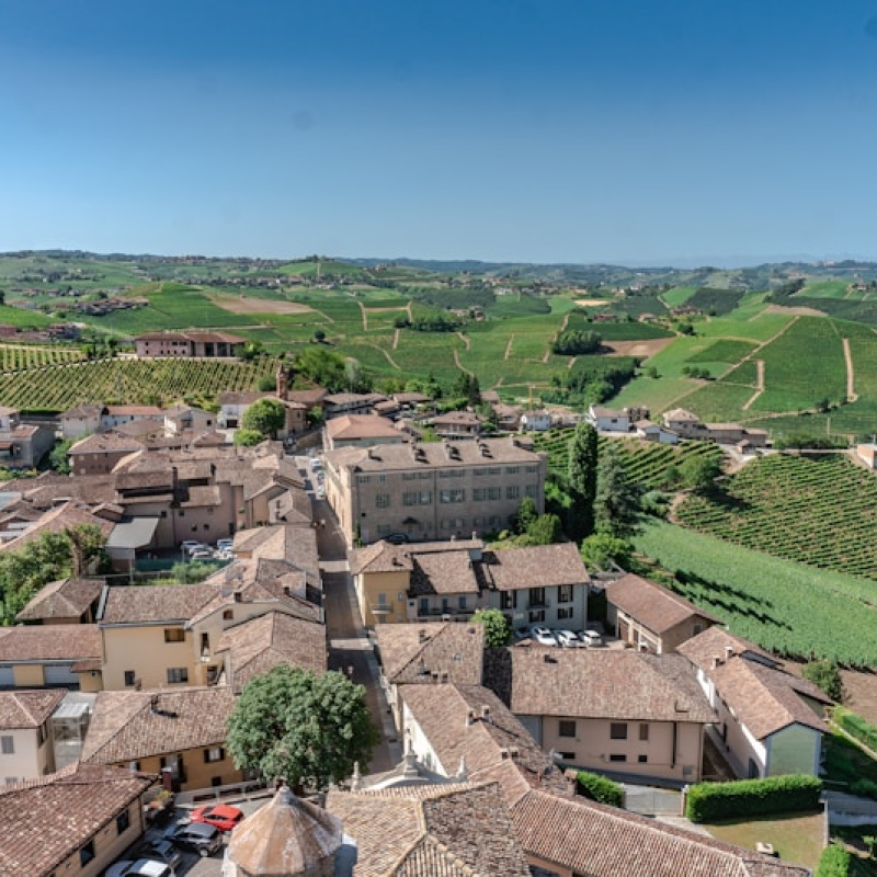 Piedmont