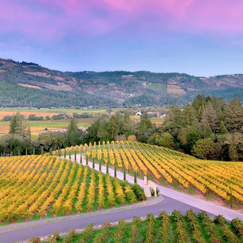 Napa Valley