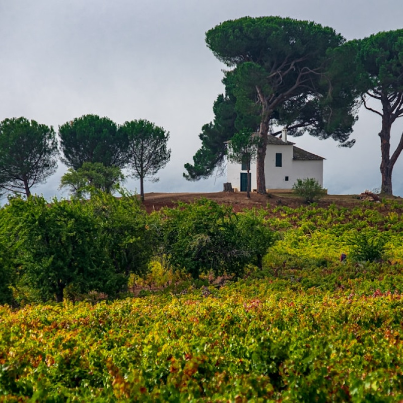 Bierzo