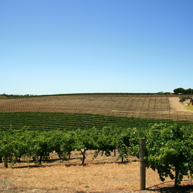Barossa Valley