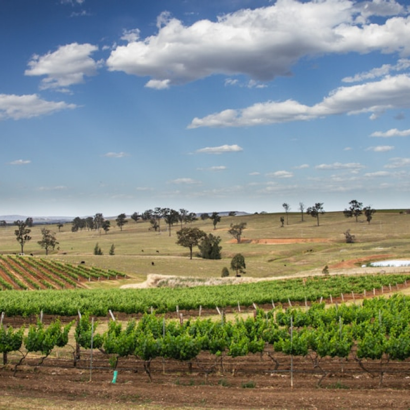 Hunter Valley