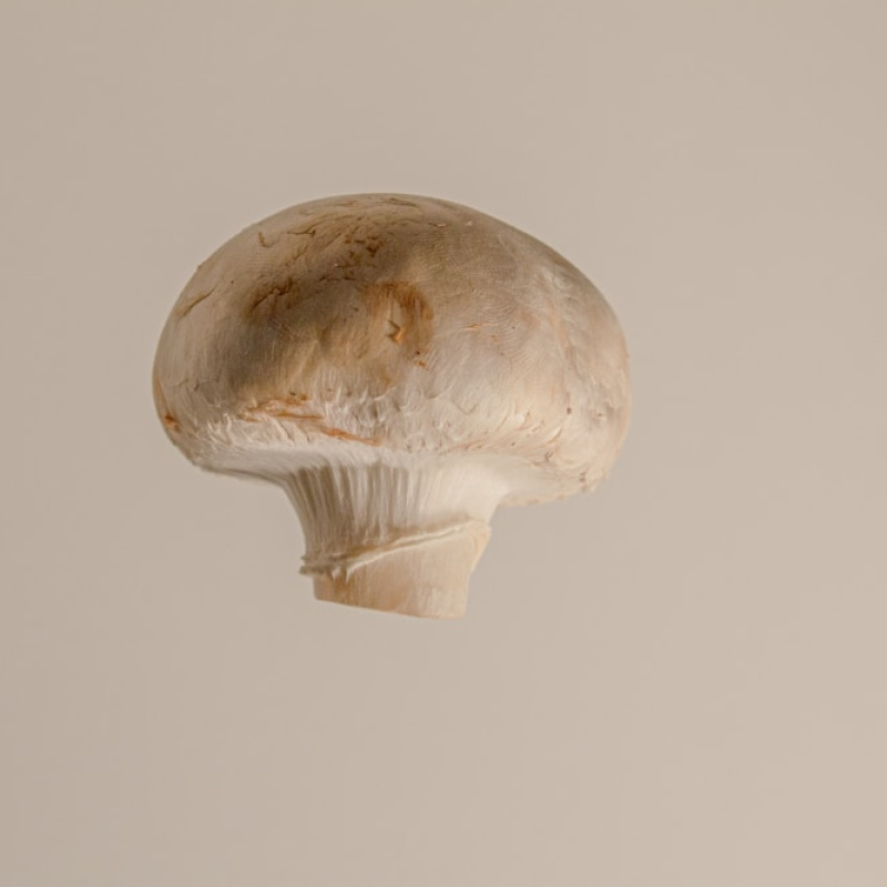 Mushrooms