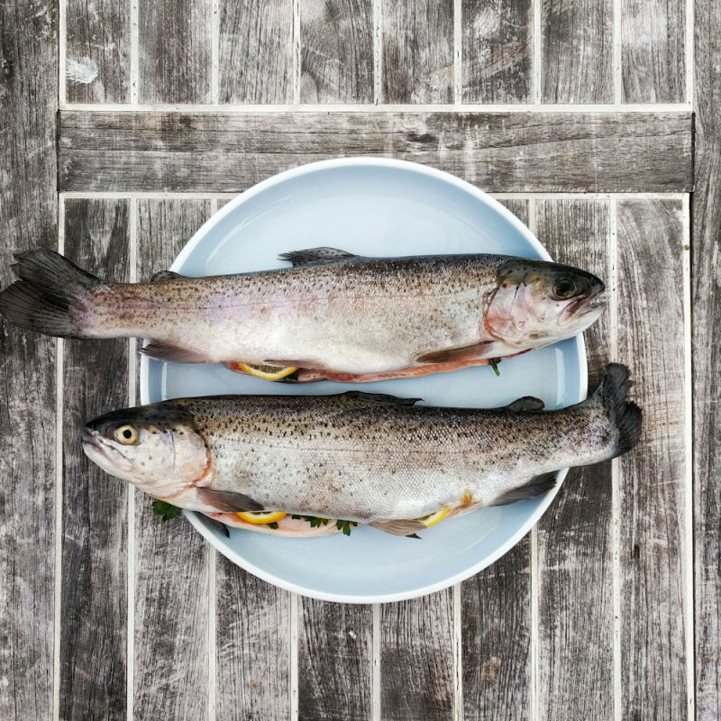 Lean fish