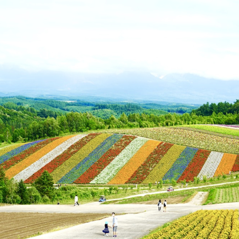 Hokkaido