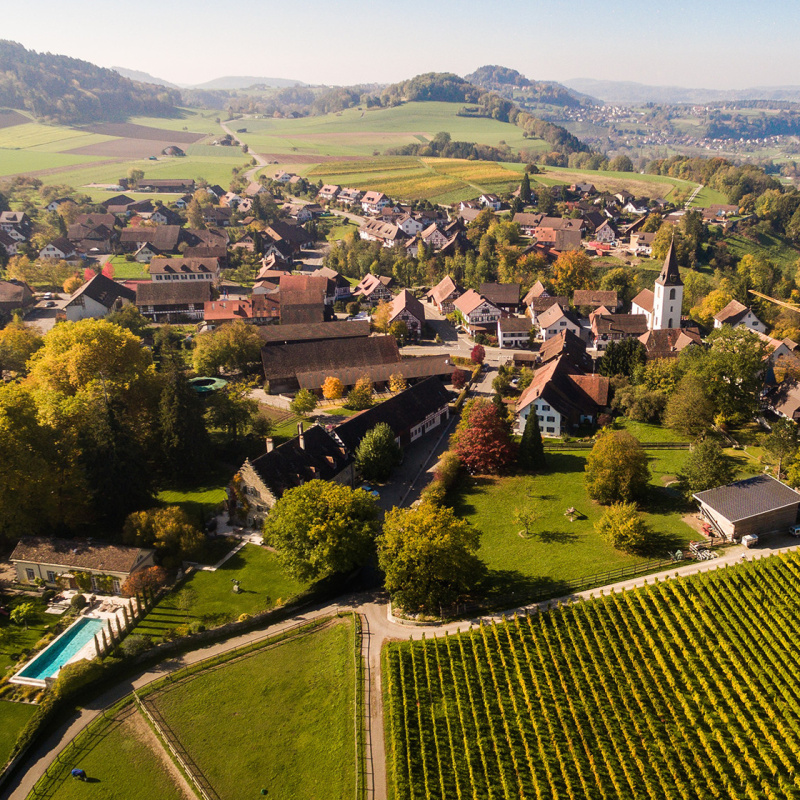 Weinland
