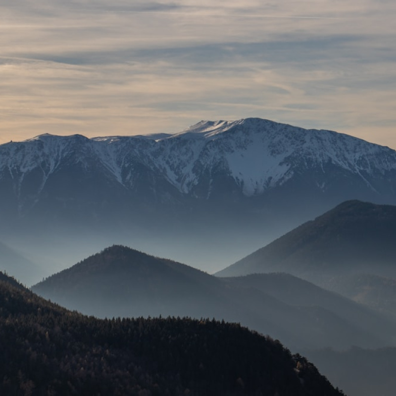 Nieder&ouml;sterreich
