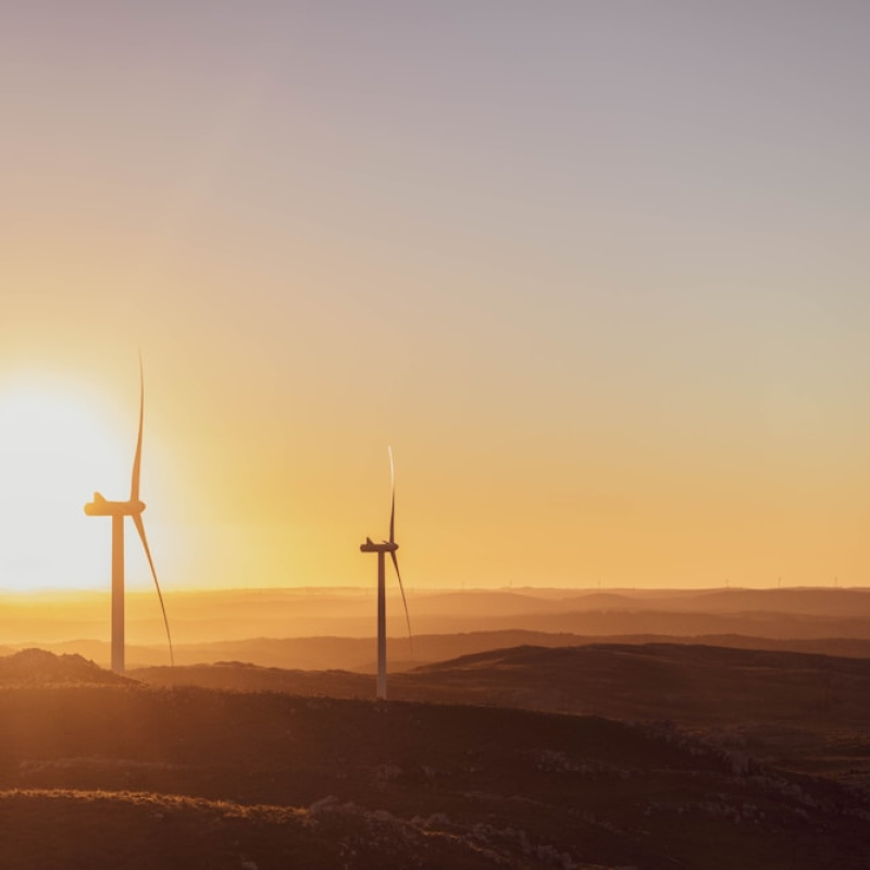 Maldonado