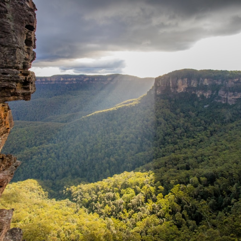 New South Wales