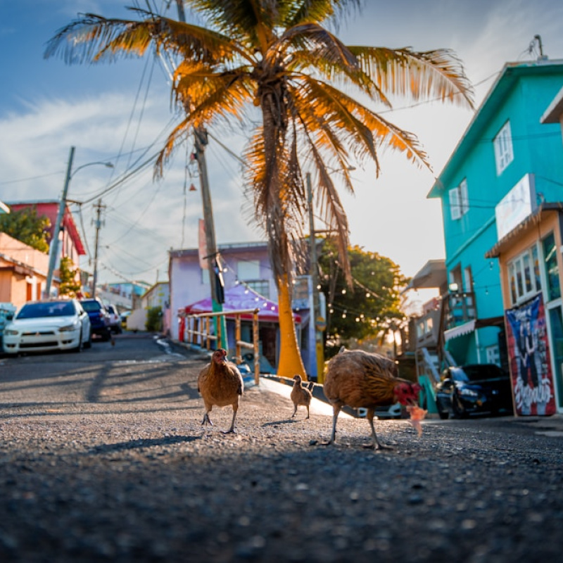 San Juan