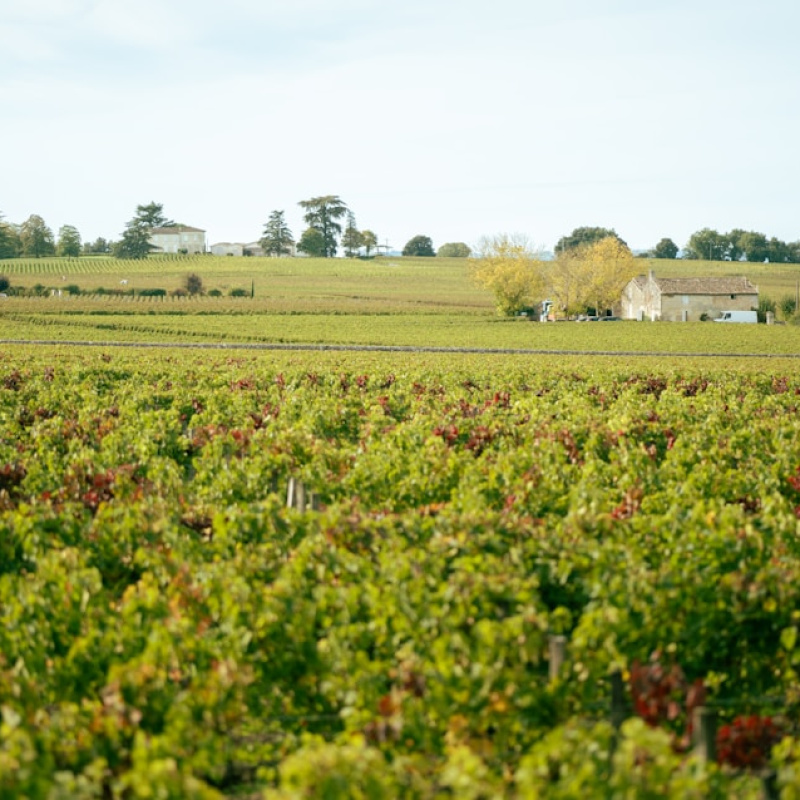 Aquitaine-Charentes