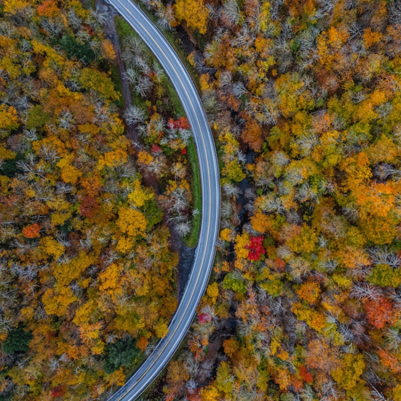 Vermont