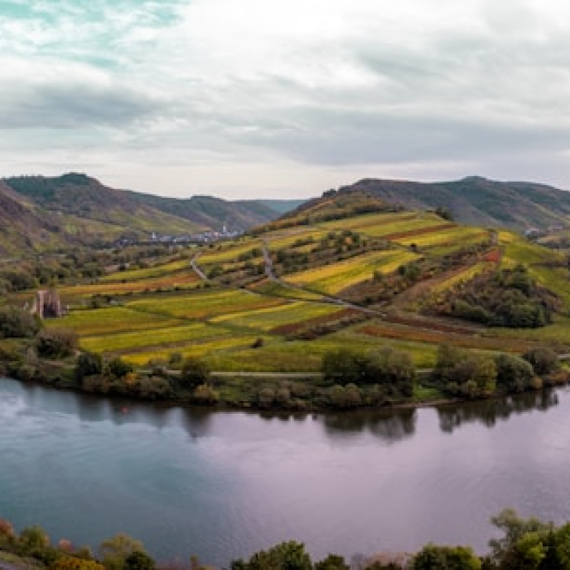 Moselle