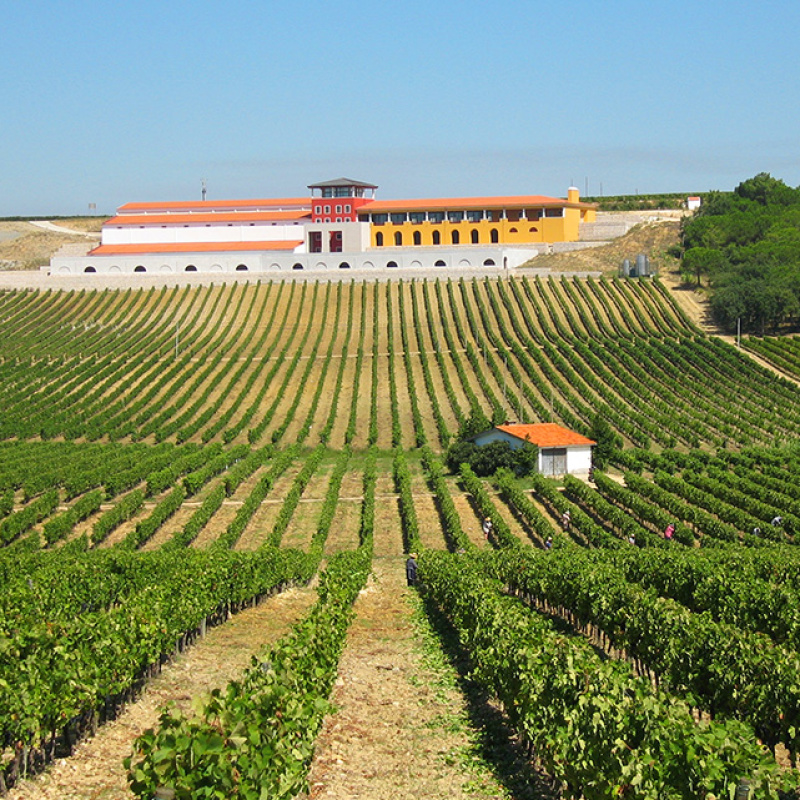 Bairrada