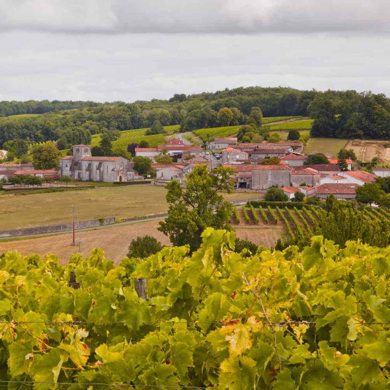 Cognac