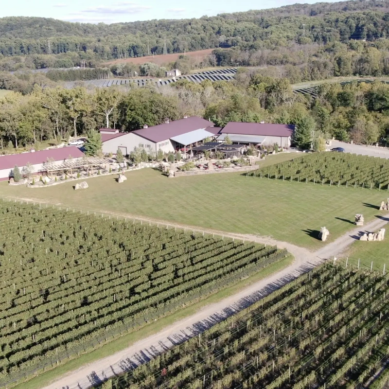 Alba Vineyard