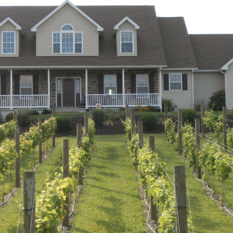 Aulenbach Wines