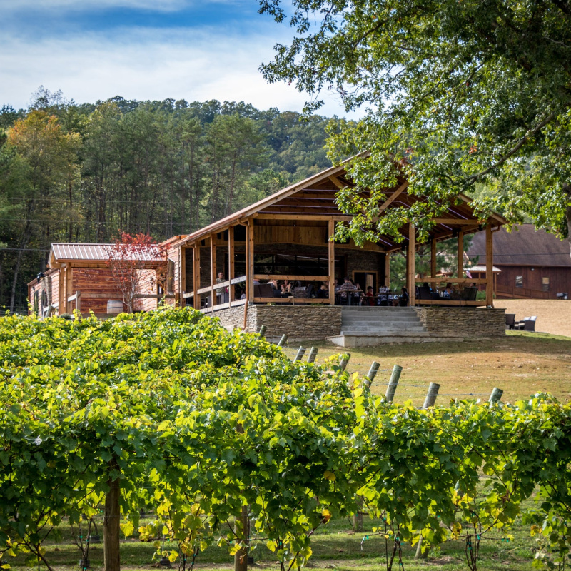 Bear Claw Vineyards