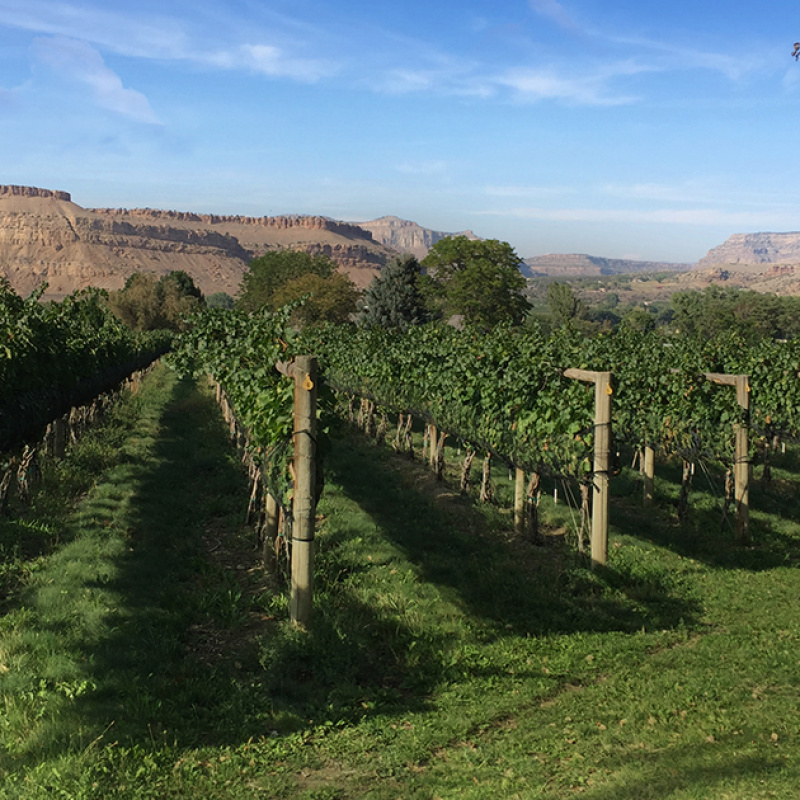 Bookcliff Vineyards