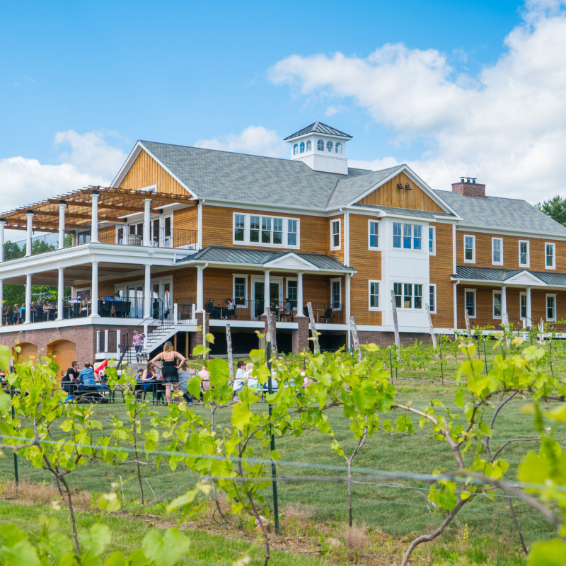Brignole Vineyards