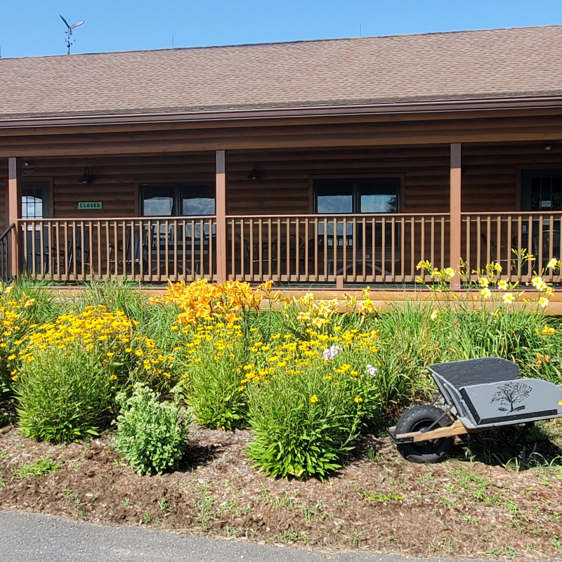 Cassidy Hill Vineyard