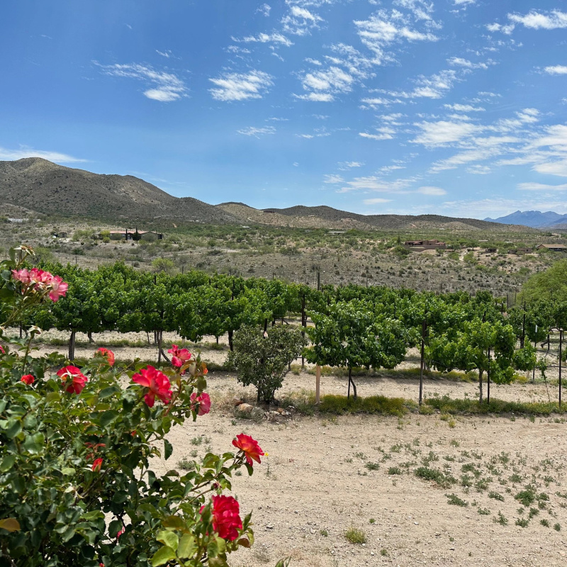 Charron Vineyards