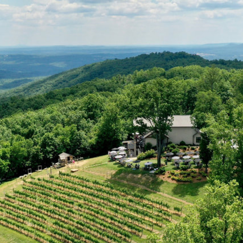 Fainting Goat Vineyards