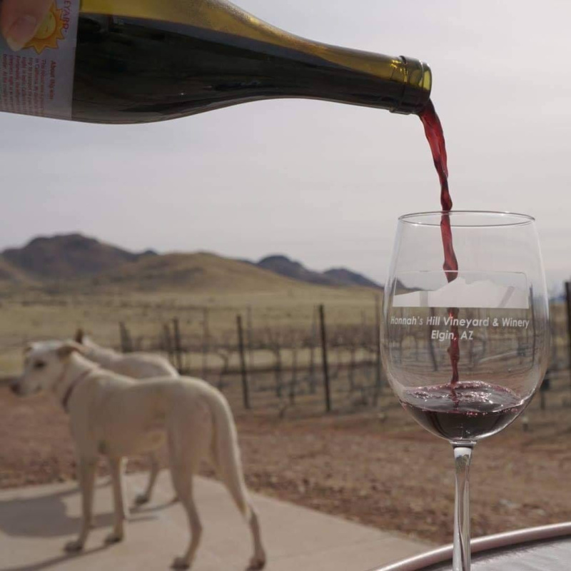 Hannah's Hill Vineyard