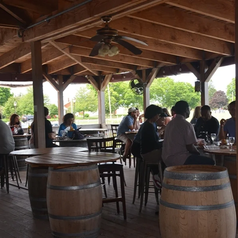 Jason's Vineyard