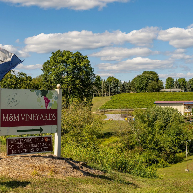 M & M Vineyards