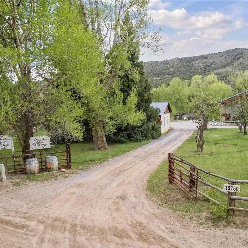 Mountain Spirit Winery