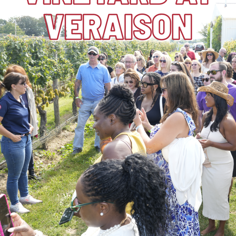 Pindar Vineyards