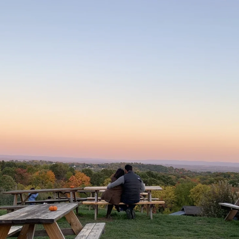 Quartz Rock Vineyard